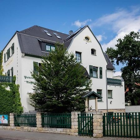 Villa Angelika Drezda Kültér fotó
